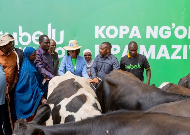 Dhamira ya CRDB kuifikisha Tanzania uchumi wa Dola 1 trilioni kupitia kilimo, uvuvi na mifugo