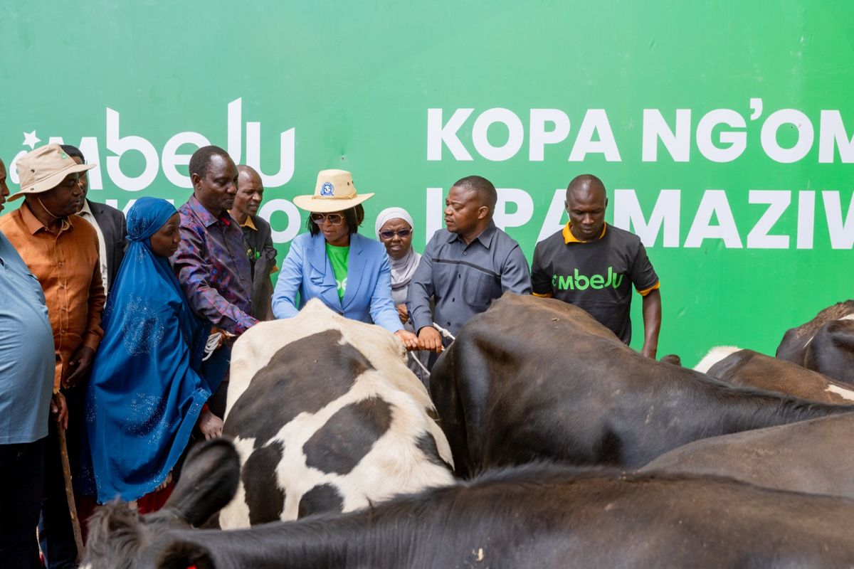 Dhamira ya CRDB kuifikisha Tanzania uchumi wa Dola 1 trilioni kupitia kilimo, uvuvi na mifugo