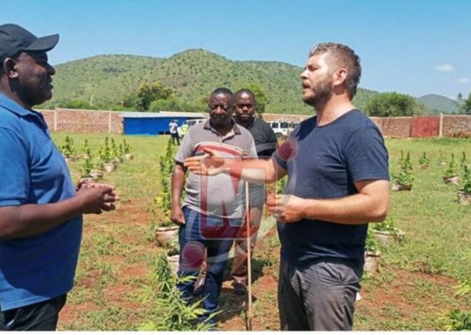 Raia wa Poland na mkewe waliofungwa kwa bangi