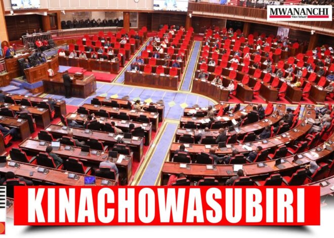 Ripoti za CAG kulipima Bunge la 13, Halima Mdee akifunguka