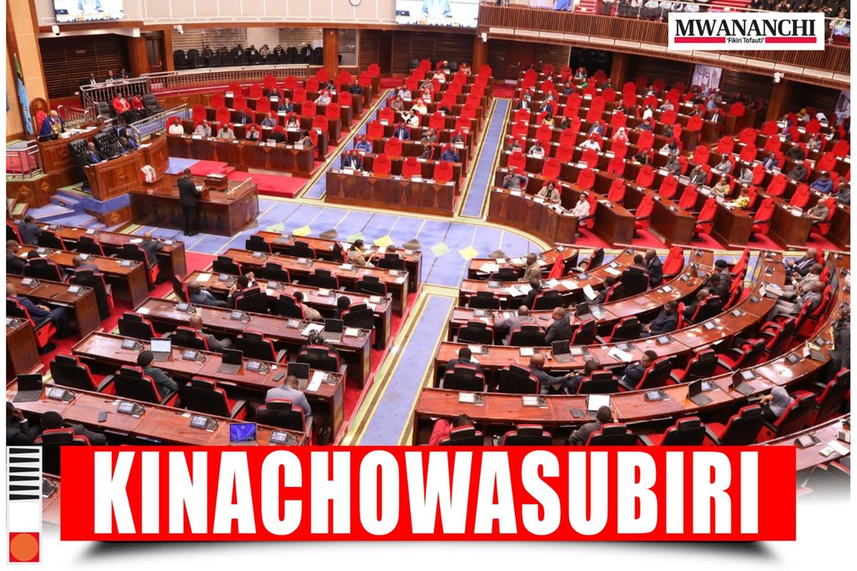 Ripoti za CAG kulipima Bunge la 13, Halima Mdee akifunguka