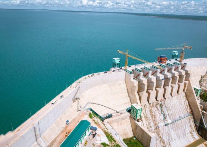 Tanzania targets carbon cash from strategic projects