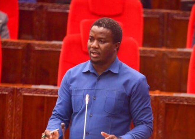 Tanzania weighs alternatives to Sh240 cashew levy as farmers’ debt burden comes under scrutiny