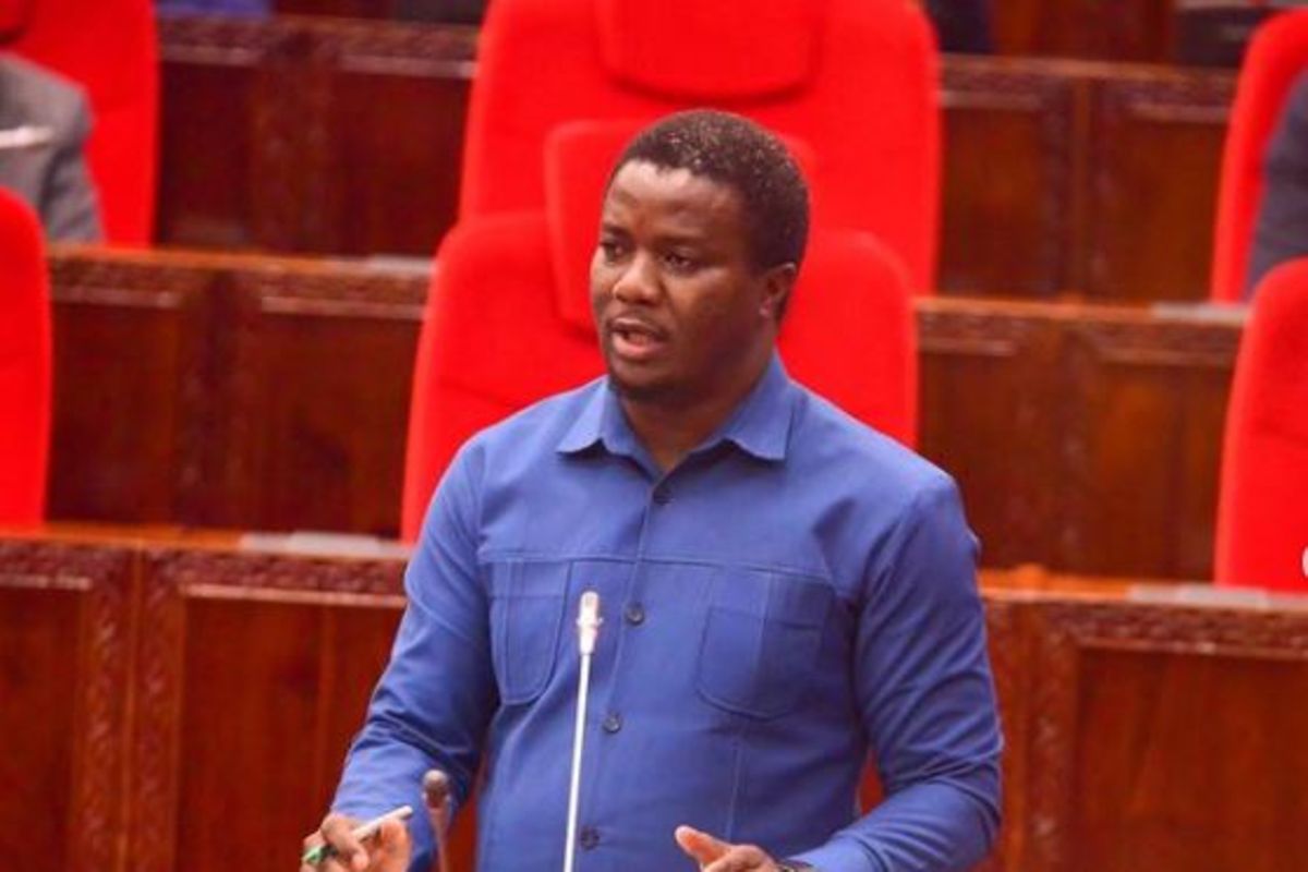 MPs push government to end Sh240 cashew levy deduction
