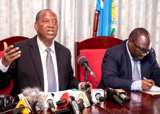 Tanzania plans 100-year future for Dodoma government city