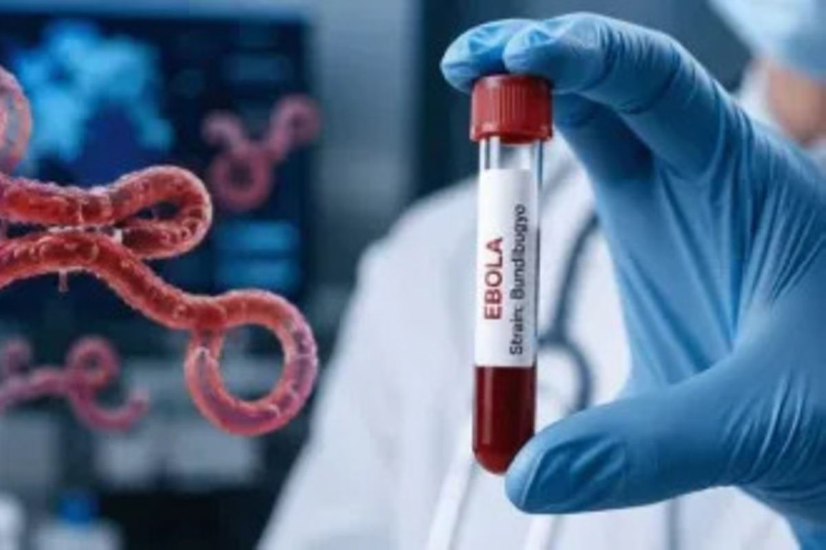 Tanzania yasema hakuna Ebola | Mwananchi