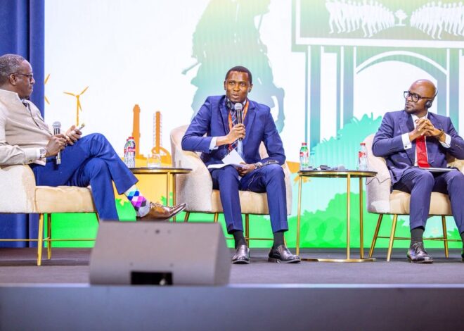 Tanzania opens energy sector to more private investment