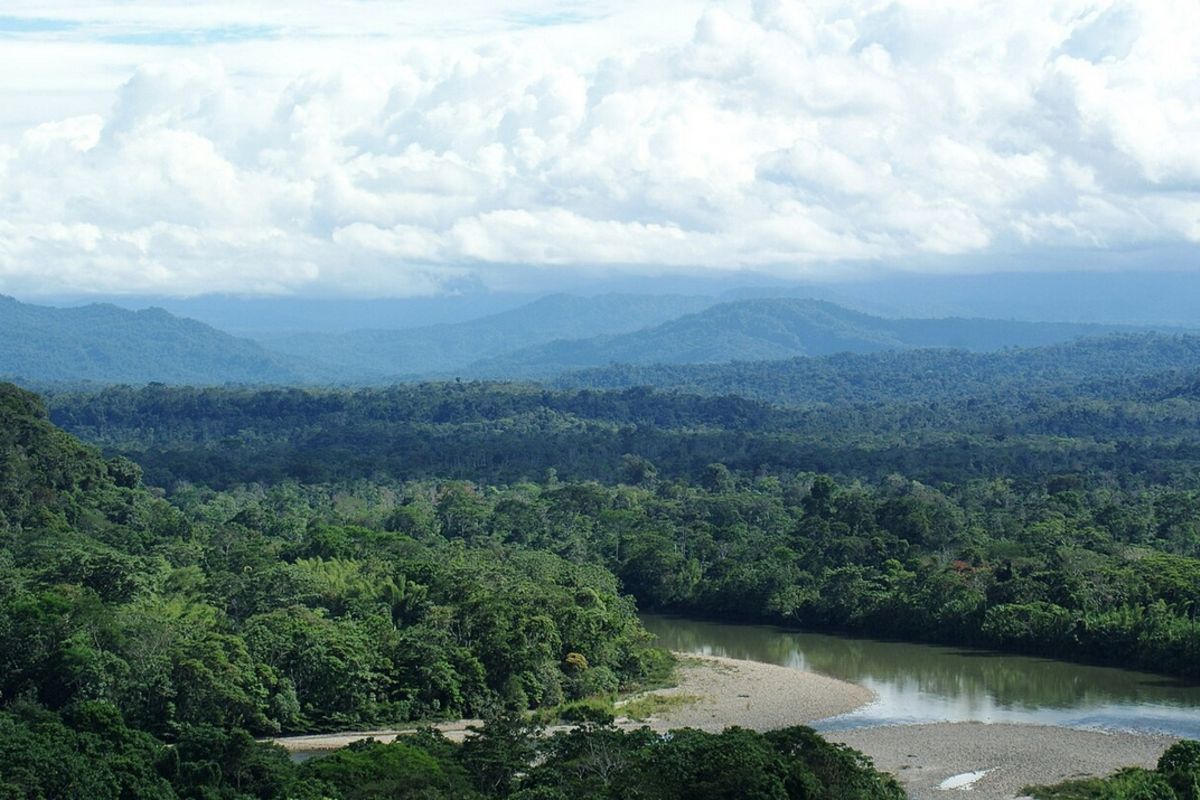 Revealed: Why forest wealth bypasses Tanzanian villages