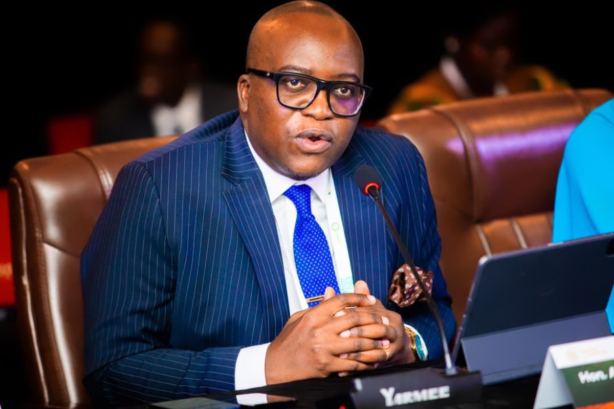 Tanzania’s Minerals Minister urges Africa to fund mineral exploration from domestic revenue