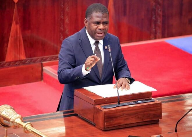 Tanzania ponders reviewing Sh5 million mobile money transaction limit