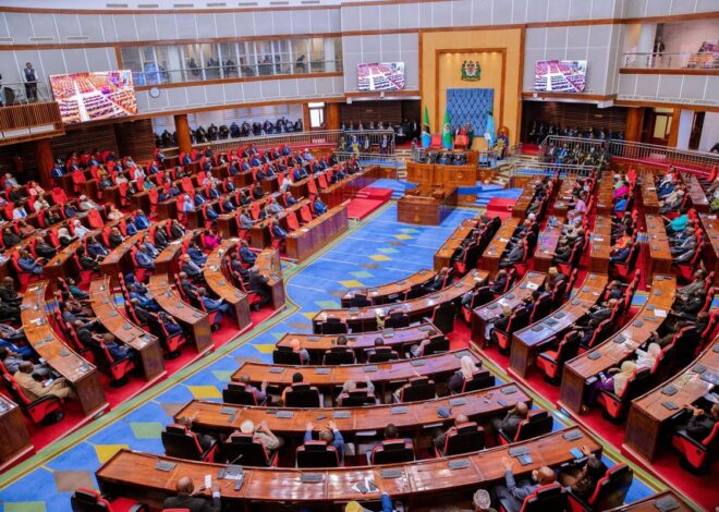 MPs question Sh89.3 trillion plan’s private sector financing role