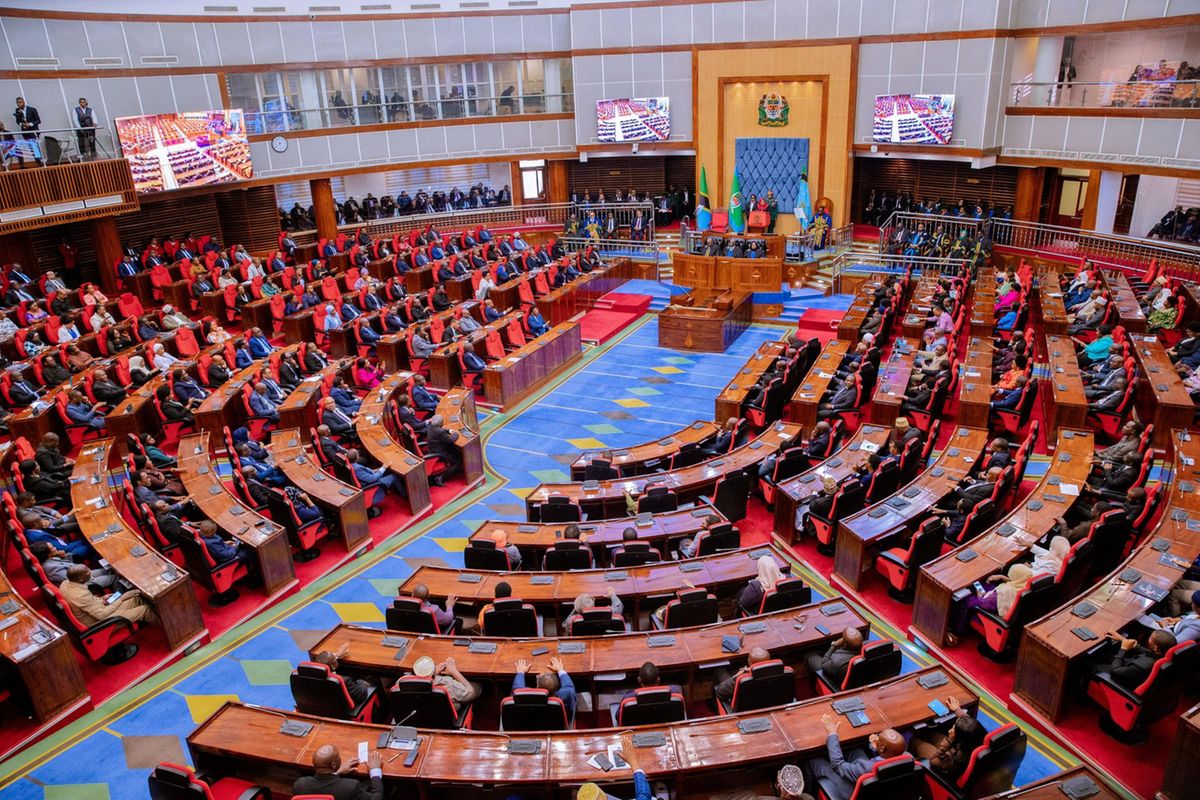 MPs question Sh89.3 trillion plan’s private sector financing role