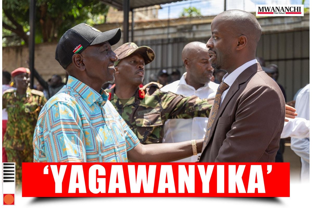 Familia ya Odinga ‘yagawanyika’ kuelekea uchaguzi mkuu 2027