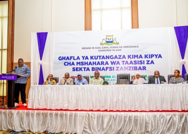 Zanzibar raises private sector minimum wage, orders contracts for all workers
