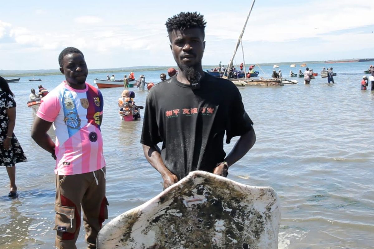 Mabadiliko ya tabianchi yapunguza samaki, kuvuruga uchumi wa wavuvi Tanga