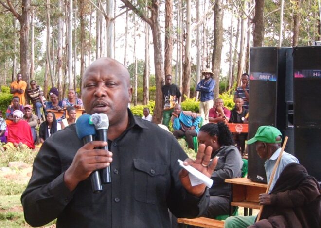 Watuhumiwa 40 wa ujangili wanaswa Serengeti ndani ya wiki mbili