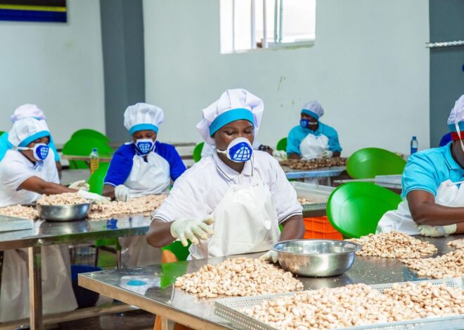 Why value addition is essential for Tanzania’s $1 trillion economy ambition