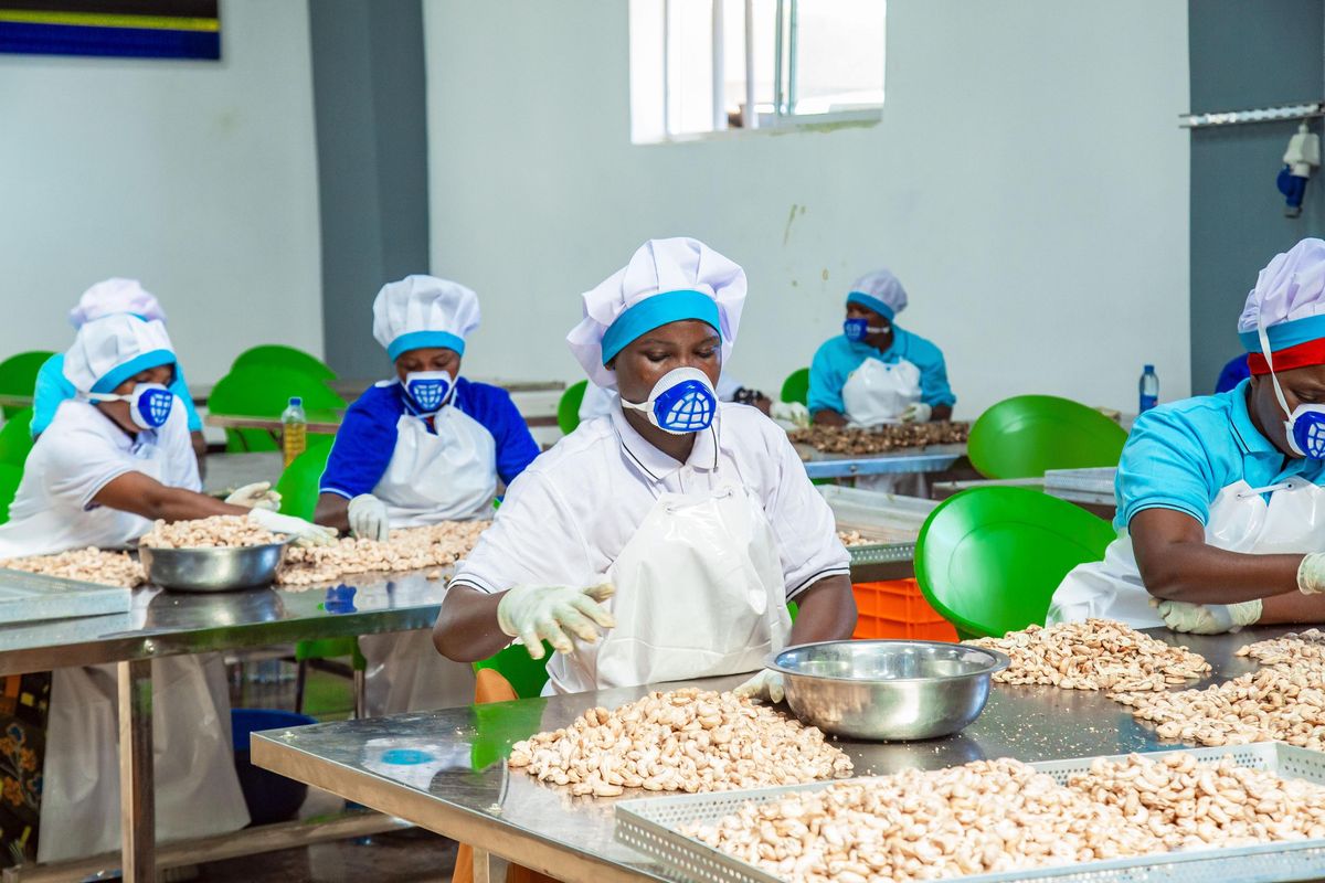 Why value addition is essential for Tanzania’s $1 trillion economy ambition