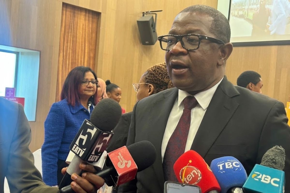 Tanzania urges partners to back Vision 2050