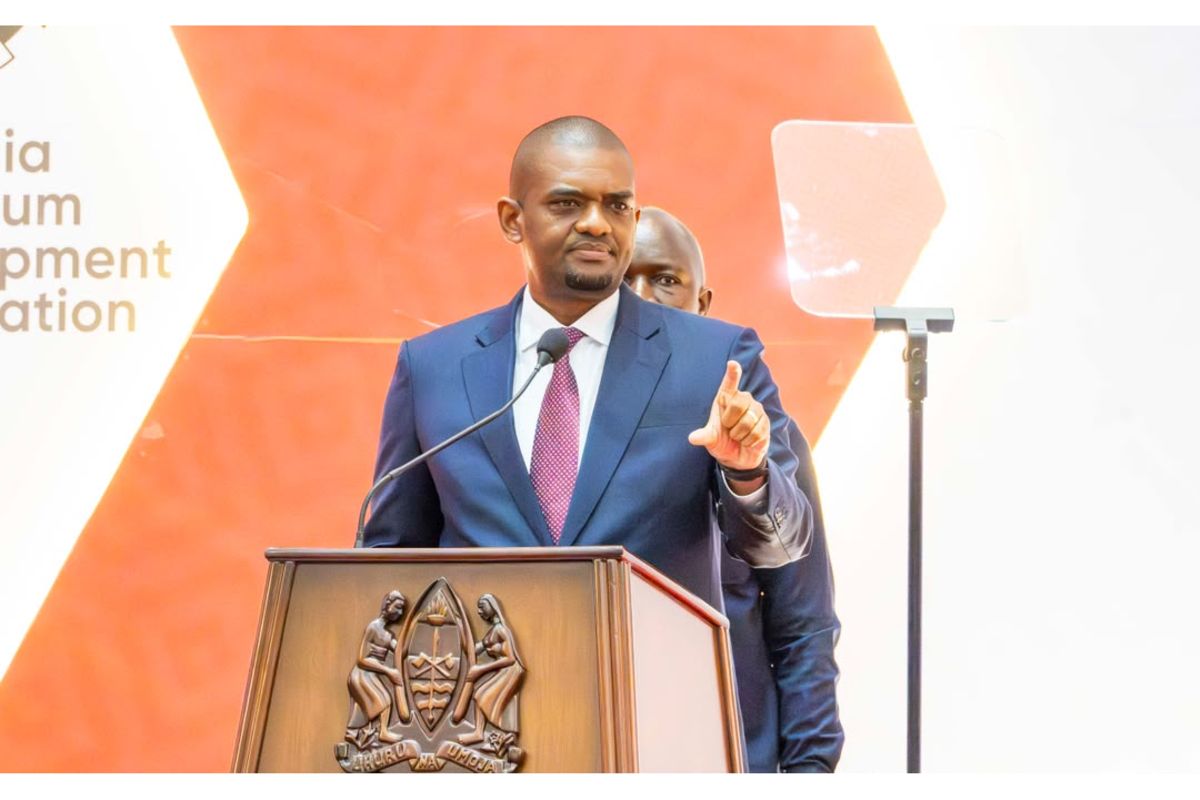 Oil, gas industry must benefit Tanzanians, says VP