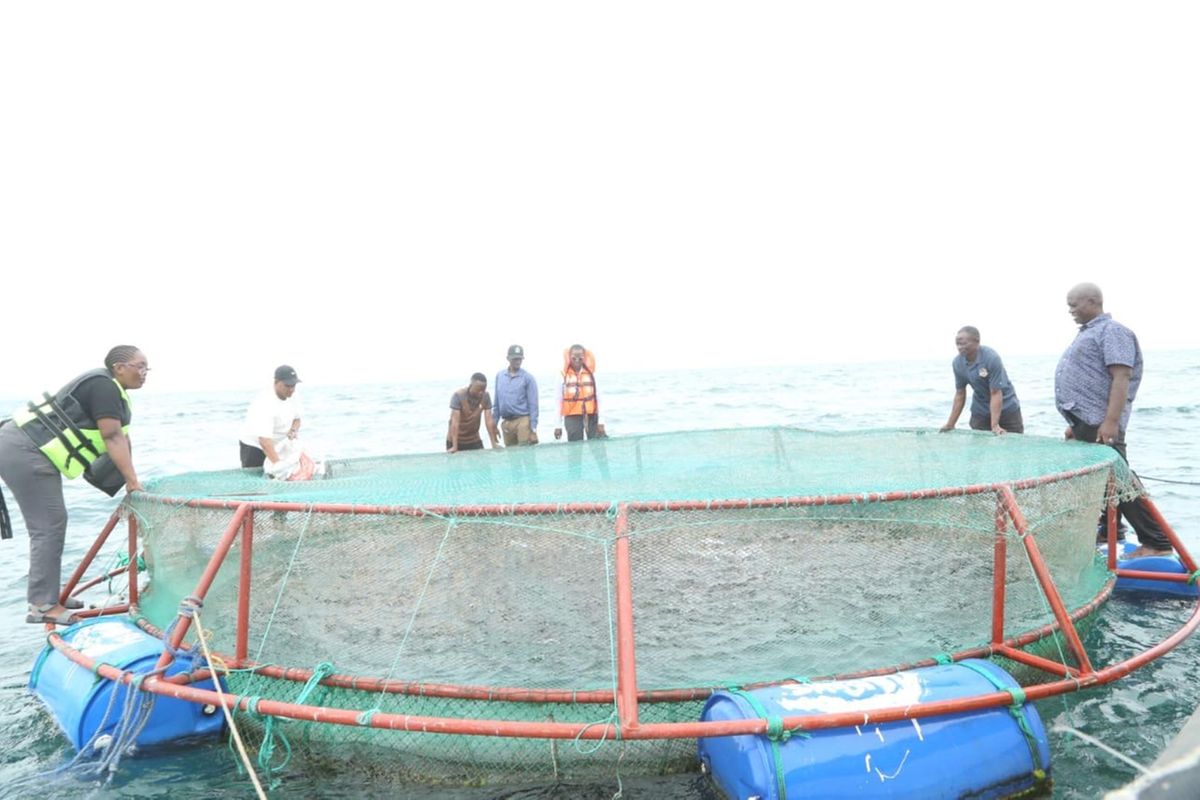 Wavuvi Nkasi wanufaika na mikopo ya vizimba vya samaki