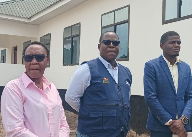 Tanzania, WHO step up preparedness against epidemic diseases
